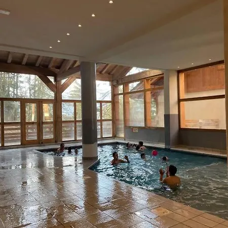 La Plagne-les Coches Vue Mont Blanc 6 Pers Piscine Sauna * La Plagne